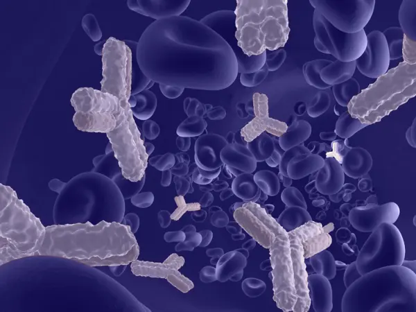 Plasma cell dyscrasias