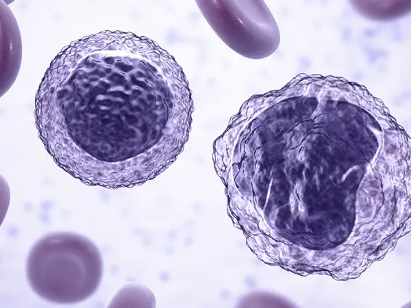 Nuclear export inhibitors